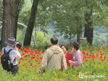 가평군, 철도관광상품…다양한 테마 ‘인기’